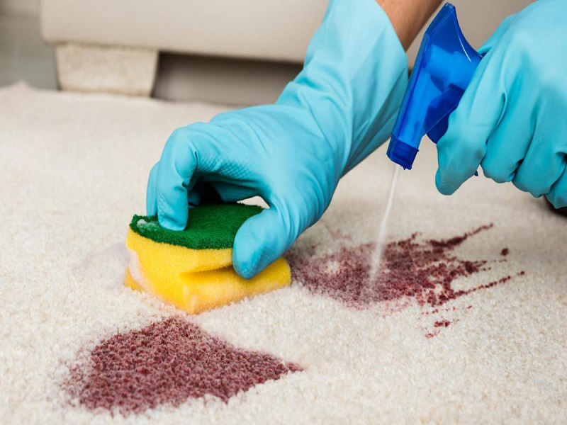 Chanh có tác dụng tẩy sạch các vết bẩn trên thảm vô cùng tốt